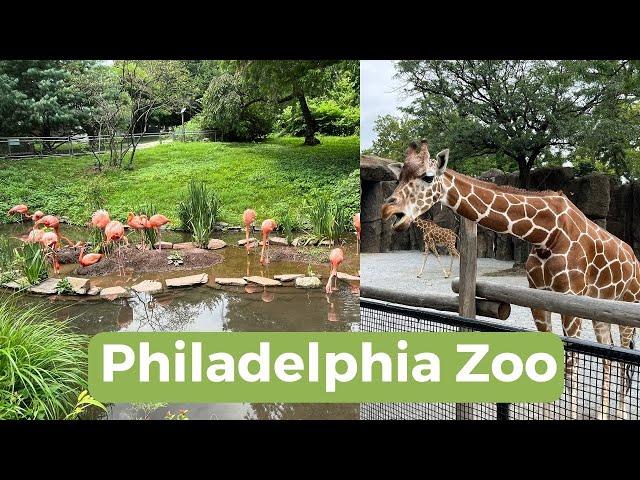 Visiting the Philadelphia Zoo