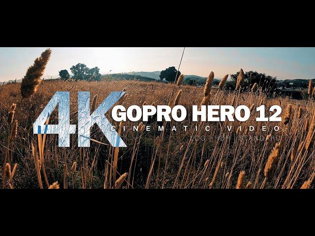 GoPro Hero 12 Cinematic Video Test - Log HDR and Standard