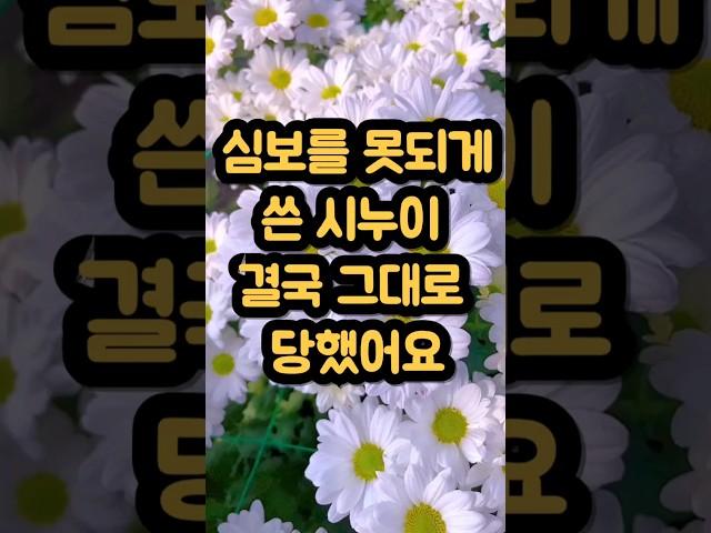 심보를 못되게 쓴 시누이 결국 그대로 당했어요