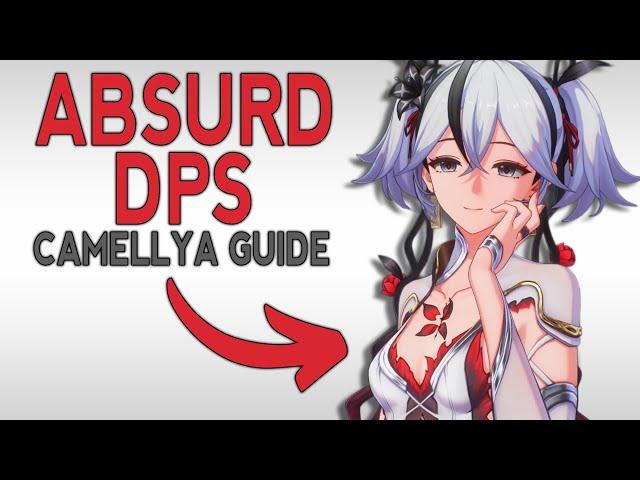 CAMELLYA GUIDE FOR DUMMIES | How to Build, Echoes, Weapons, Teams | Wuthering Waves 1.4