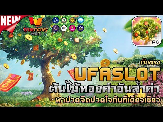 ufabet เว็บตรง สล็อต ufaslot สล็อตแตกง่าย ยูฟ่าสล็อต เว็บพนันออนไลน์ที่ดีที่สุด : Fortune Tree