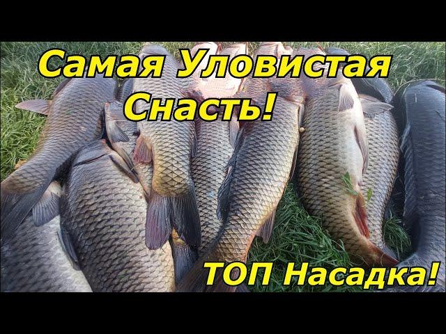 САМАЯ ПРОСТАЯ И САМАЯ УЛОВИСТАЯ Снасть для ловли Сазана и Карпа.