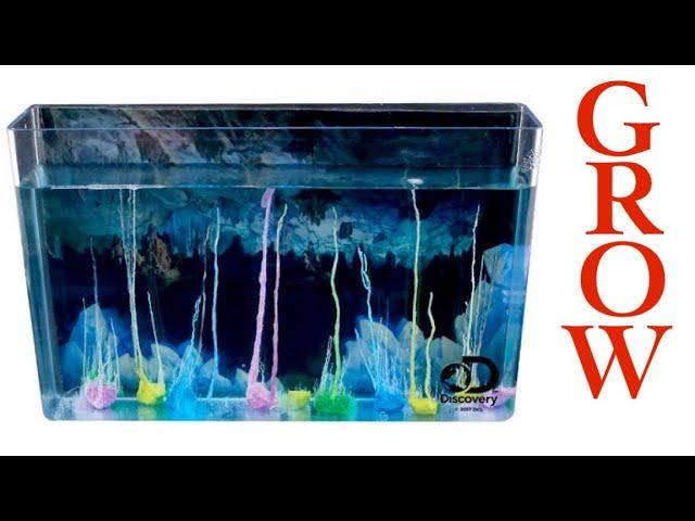 Discovery Crystal Aquarium Instructions by Cool Science Projects