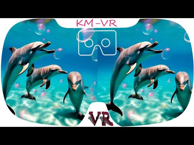 3D VR VIDEO 547 4K vr video