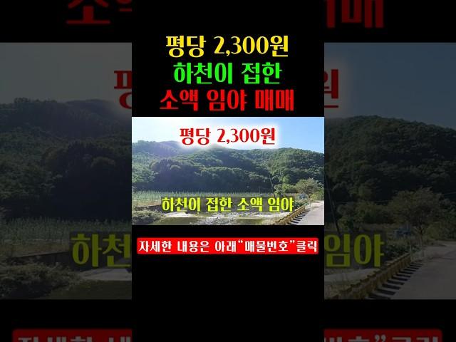 평당 2,300원에 내 놓은 소액 임야 입니다.