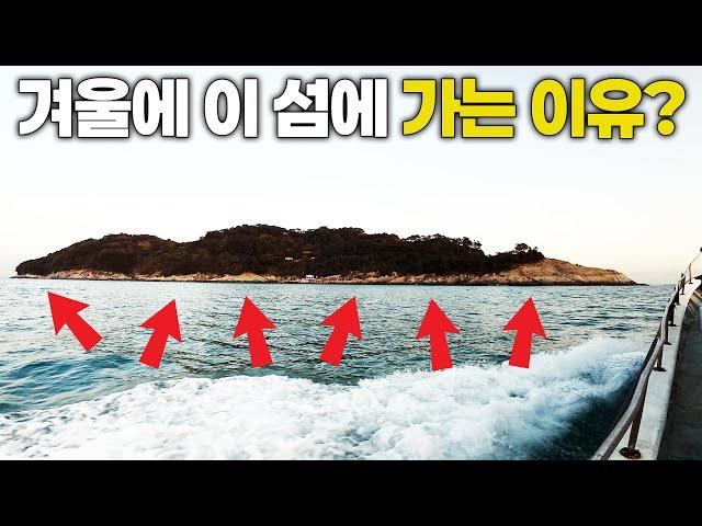 겨울엔 꼭 한번은 낚시하러(밥먹으러)가는 섬