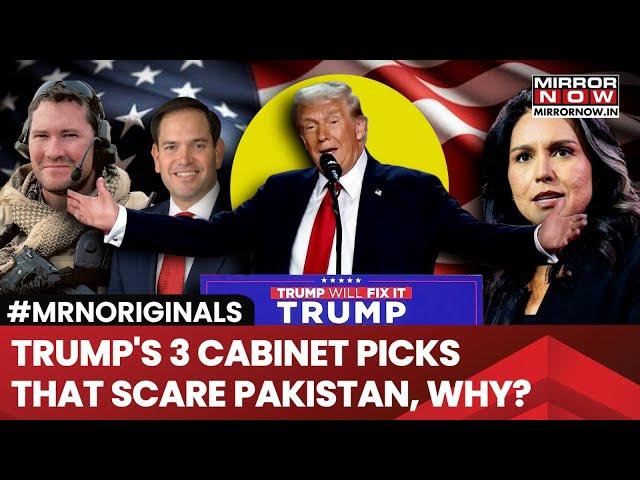 Trump's New Cabinet Picks Tulsi Gabbard, Mike Waltz, Marco Rubio Scare Pakistan; Here's Why?