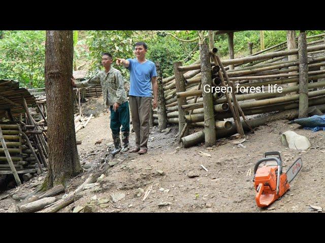 Robert called a sawyer to cut wood to make pigsty. Green forest life