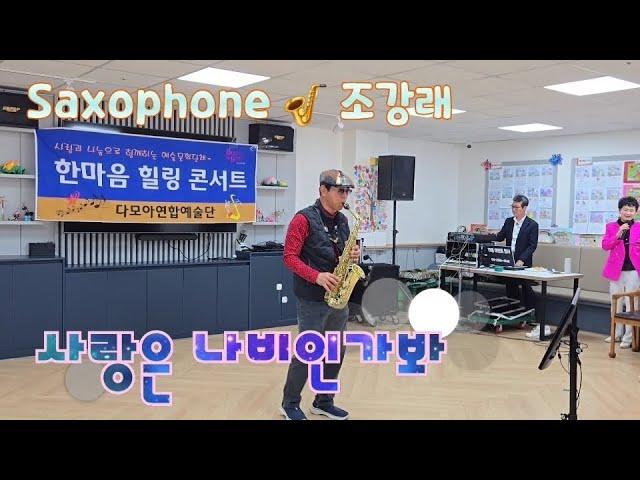 사랑은 나비인가봐-색소폰연주(조강래)/나눔과 사랑의 힐링공연/Saxophone 힐링콘서트/DAMOA Music Stage