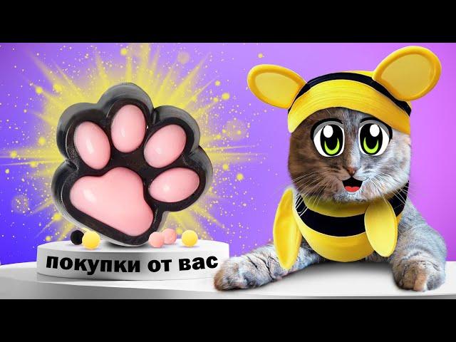 ЭТО нам КУПИЛИ ПОДПИСЧИКИ! **ОЧЕНЬ НЕОЖИДАННО** РЕАКЦИЯ МУРКИ на РАСПАКОВКУ посылок от ПОДПИСЧИКОВ