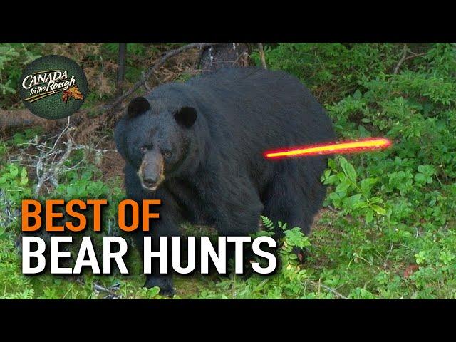 50 Bear Hunts in 15 Minutes! (ULTIMATE Bear Hunting Compilation) | BEST OF