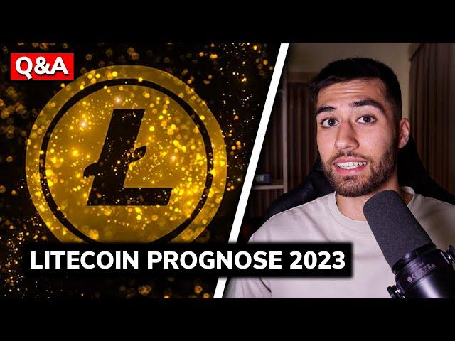 LITECOIN HALVING 2023! Wann soll ich VERKAUFEN? | Q&A