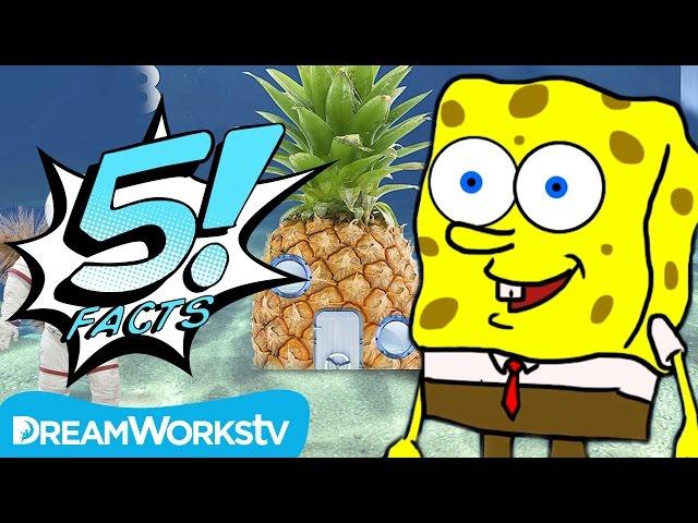 5 Facts About SPONGEBOB That Are F.U.N. | 5 FACTS