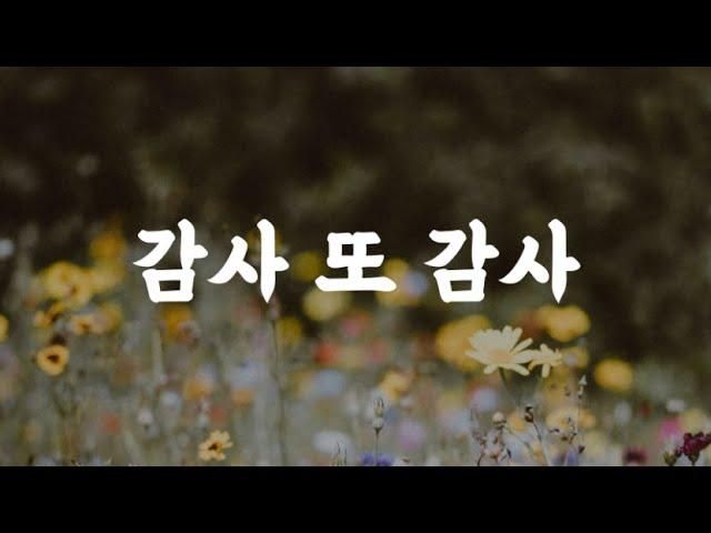 행복은 멀리 있지 않다 ｜일상 속 작은 것에 감사하는 마음