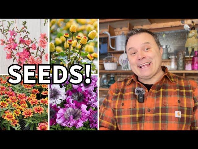 My Seed Haul: wonderful AND weird