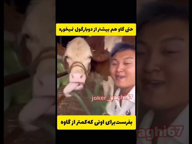 آخرین نصیحت #رای_بی_رای