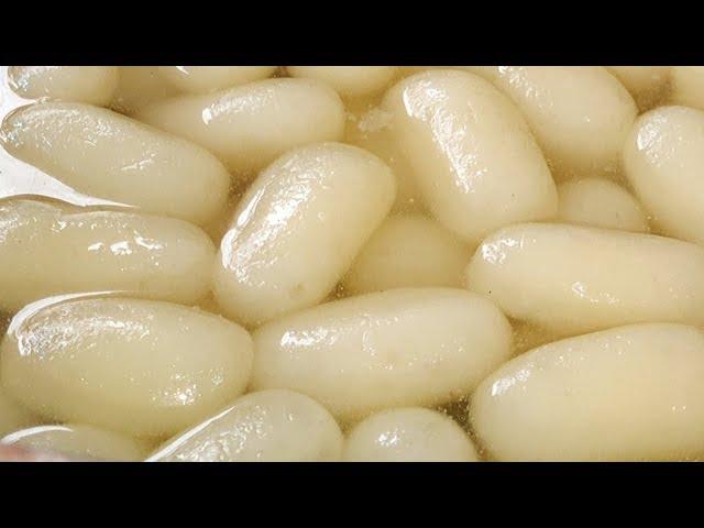 Perfect Rasgulla With Perfect Measurements | How To Make Cham Cham Rasgulla Sweet | Indian Sweets