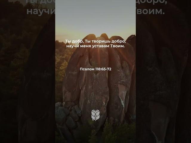 Псалом 118:65-72 в современном переводе #библия #biblevision