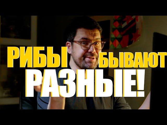 ДЕРМОВЫЕ РИБЫ! Как выбрать лодку риб чтоб не утонуть. Вся правда о рыбах !