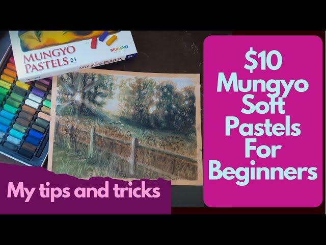 Get great Results with Mungyo soft pastels! Tips for beginners + review of Canson Mi-Teintes paper