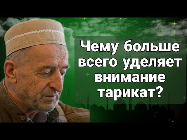 Чему больше всего уделяет внимание тарикат?