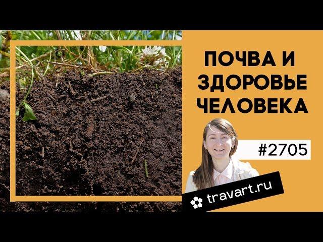 Польза дождевых червей. Как повысить плодородие почвы. ТРАВАРТ 2705