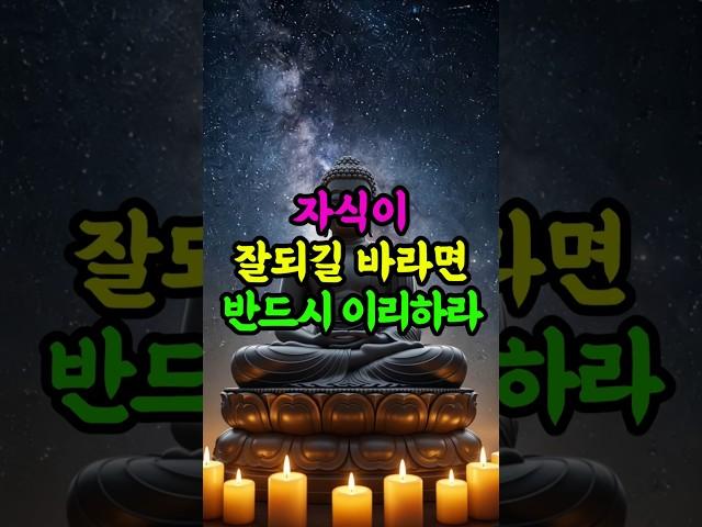 자식이 잘되길 바란다면 반드시 이리하라 #부처님말씀 #자식운 #불교지혜 #업보 #기도
