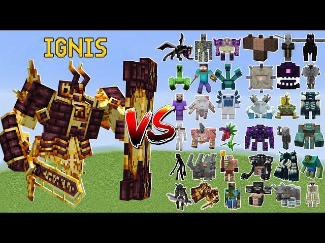 Ignis vs All Minecraft Bosses - Minecraft Mob Battle