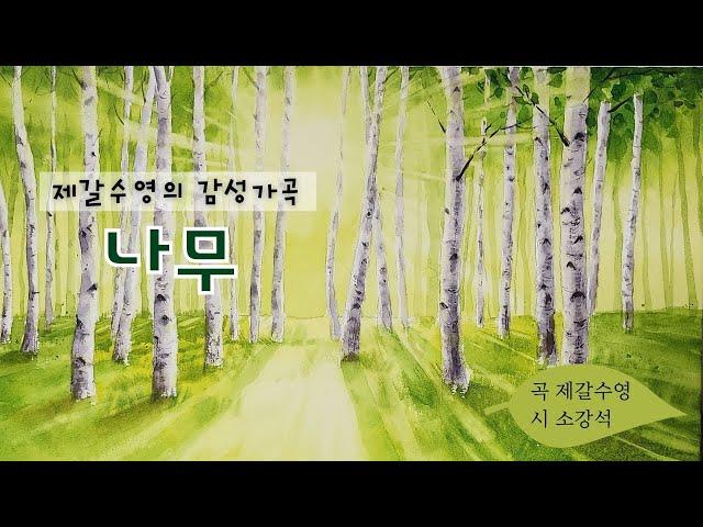 [나무] 제갈수영 감성가곡 시리즈(가사포함)   -소프라노 윤현정-