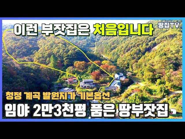 '큰 땅'이지만 내용은 간단한 물건 별장형 집만 사셔도 됩니다. 큰 그림의 도화지 활용 가능성은 무궁무진 #양평급매 #주택급매 #여주전원주택 #별장 #임야주택