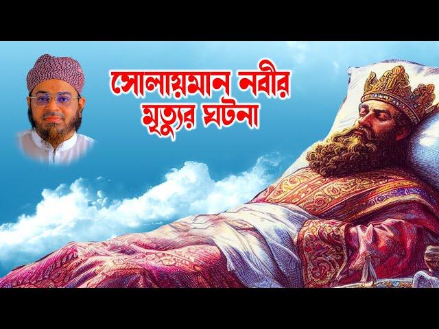 Mufti Nasir Uddin Ansari । মুফতি নাসির উদ্দিন ansari। bd waz - সোলায়মান নবীর ঘটনা -ansari waz