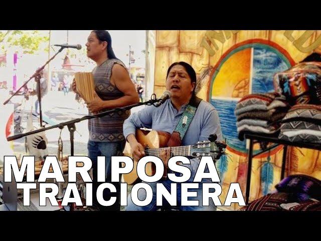 INKA GOLD - MARIPOSA TRAICIONERA cover (Maná) @inkagoldmusic