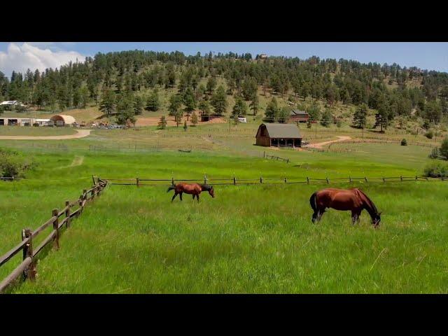 SOLD!  Main level living home, horse property in Denver Foothills!  1539 Bluebird Drive, Bailey.