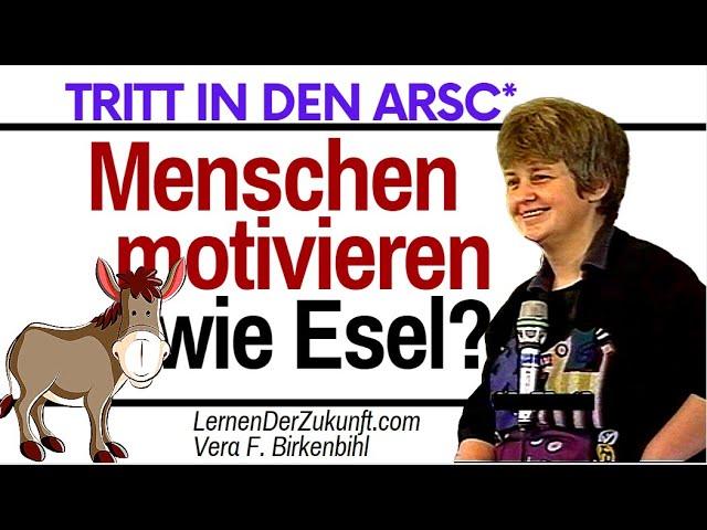 Wie geht Menschen motivieren? | Vera F. Birkenbihl Selbstmanagement 23