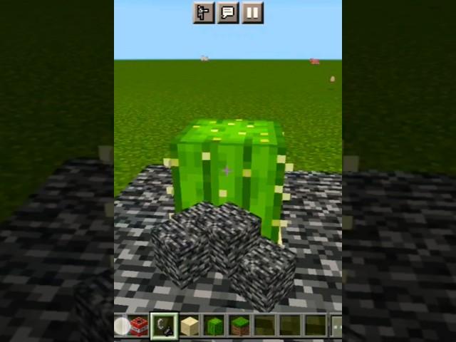 Cactus Power In Minecraft #shorts #minecraft