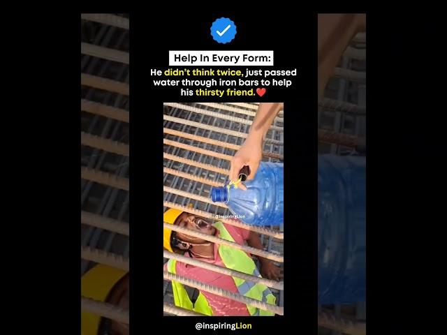 A small act, but a huge message of humanity. ️