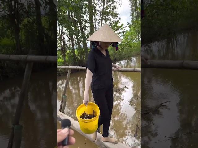 Thùng Cá Lau Kiếng Bắt Ổn