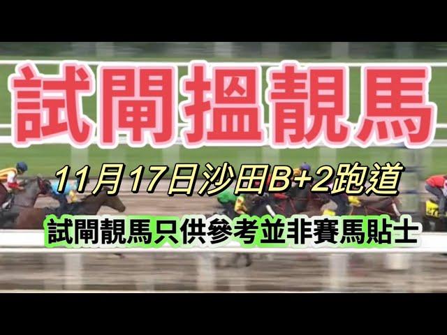 11月17日沙田B+2跑道 試閘搵靚馬