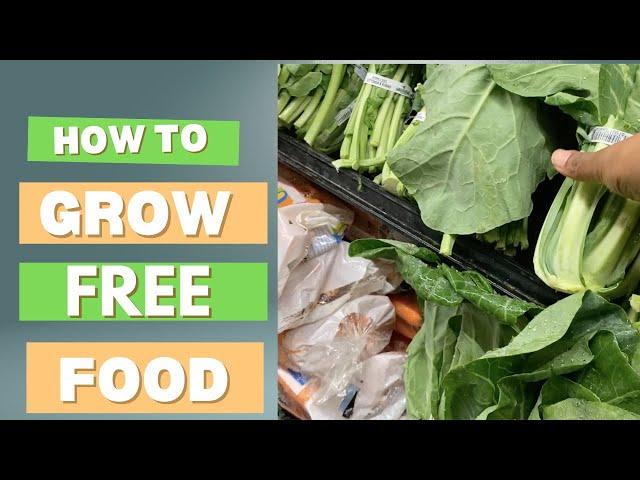 How to Grow Free Food