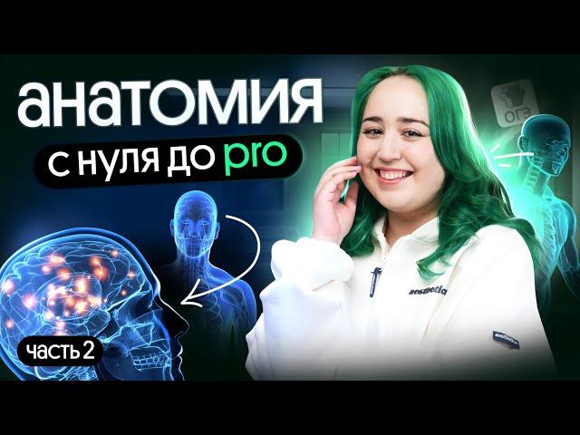 ВСЯ АНАТОМИЯ ДЛЯ ОГЭ | Часть 2