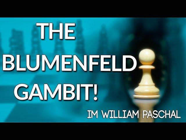 The Blumenfeld Gambit  Best Chess Openings - IM William Paschall