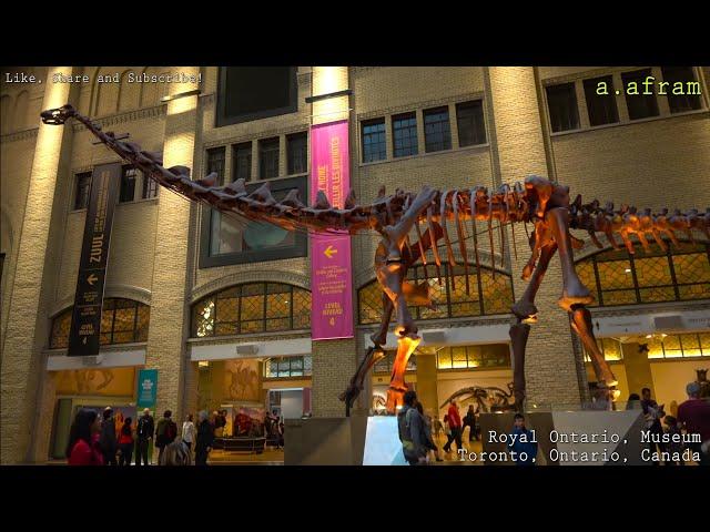 [4K] Walking Tour of Royal Ontario Museum ROM Toronto Ontario Canada