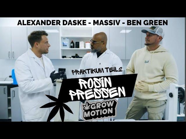 Rosin Pressen | Massiv Apotheker Praktikum bei Alexander Daske Teil 2