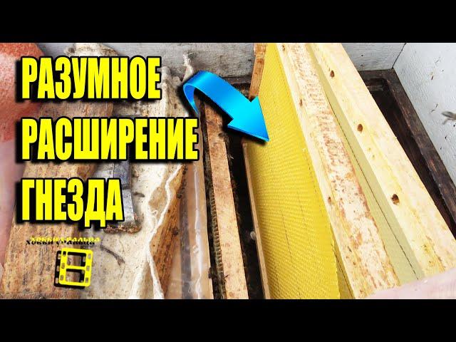 ПРАВИЛЬНОЕ РАСШИРЕНИЕ ГНЕЗДА ВЕСНОЙ. КОГДА СТАВИТЬ ВОЩИНУ В УЛЕЙ? ДЛЯ НАЧИНАЮЩИХ ПЧЕЛОВОДОВ 7-21