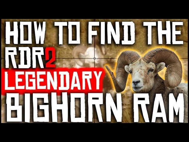 HOW TO FIND THE LEGENDARY BIGHORN RAM AND GET A PERFECT HIDE | RED DEAD REDEMPTION 2 | LOCATION