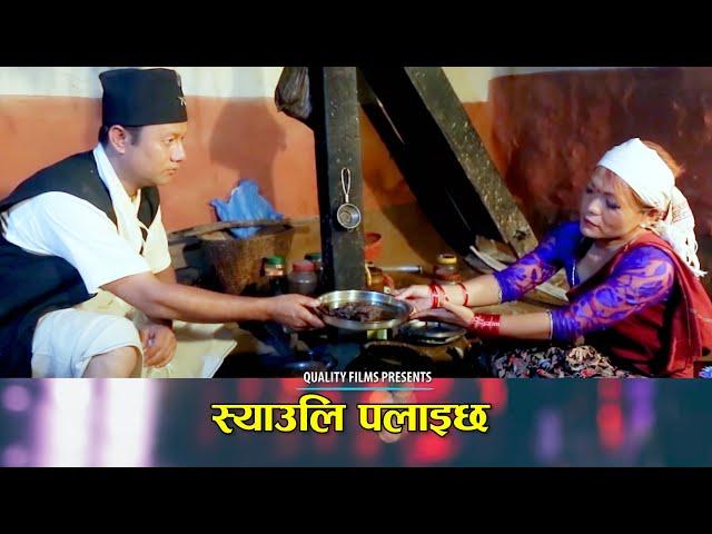 Syauli Paliechha | Durga Gurung | Prijung Gurung | Evergreen Nepali Folk Song | Quality Films Nepal