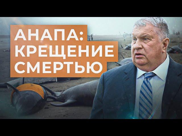 Анапа. Убрались на все! // Александр Батов. Что делать