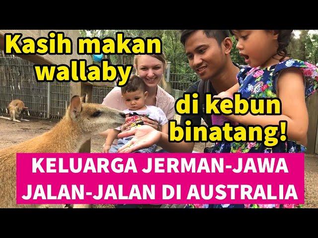 KANGURU apa WALLABY?! Jalan-jalan ke Kebun Binatang di Sydney Australi sama keluarga Jerman-Jawa