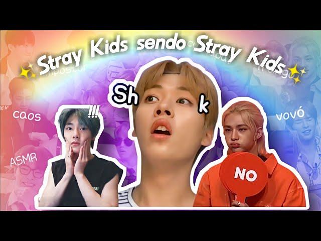 Stray Kids sendo Stray Kids (tente não rir)| especial 40K