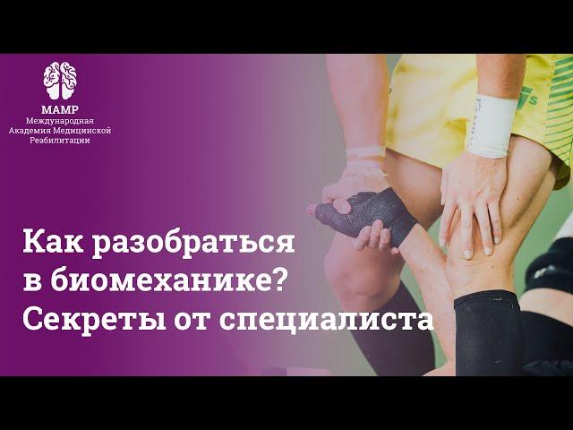 Биомеханика человека: как разобраться в главных вопросах | Биомеханика человека | МАМР